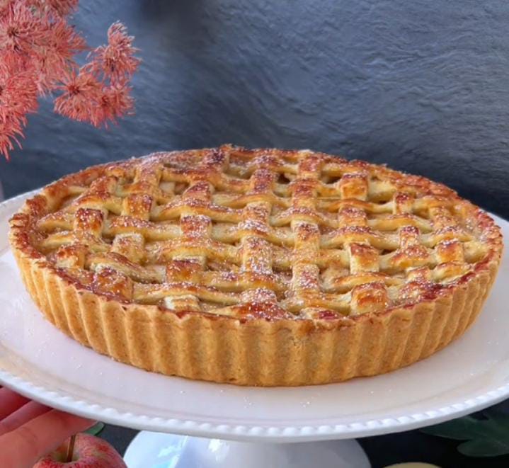 mini astrophytum mini astrophytum